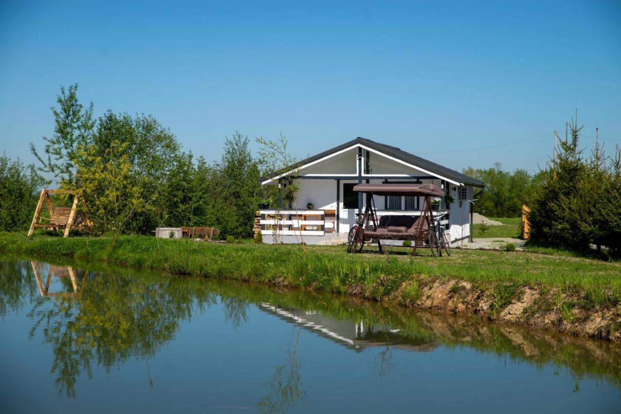 Linistea Muntilor Chalet Porumbacu de Sus Luaran gambar