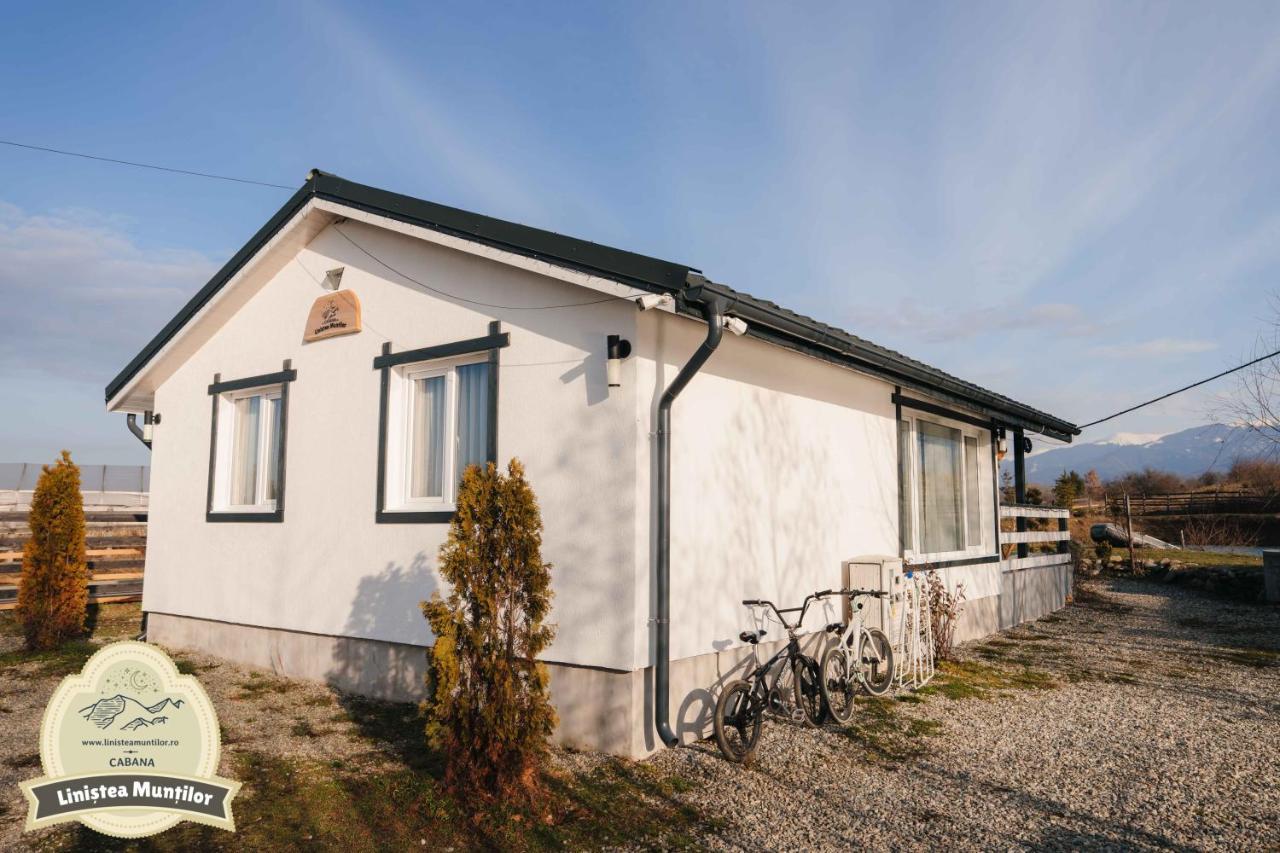Linistea Muntilor Chalet Porumbacu de Sus Luaran gambar