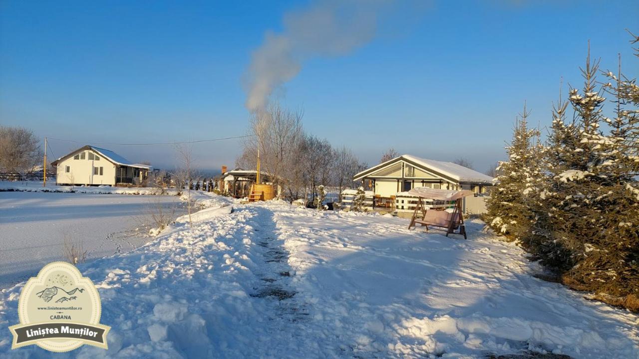 Linistea Muntilor Chalet Porumbacu de Sus Luaran gambar
