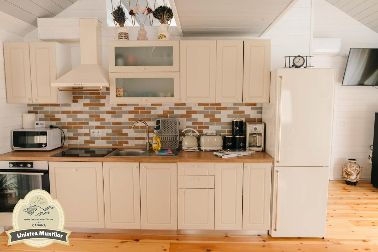 Linistea Muntilor Chalet Porumbacu de Sus Luaran gambar