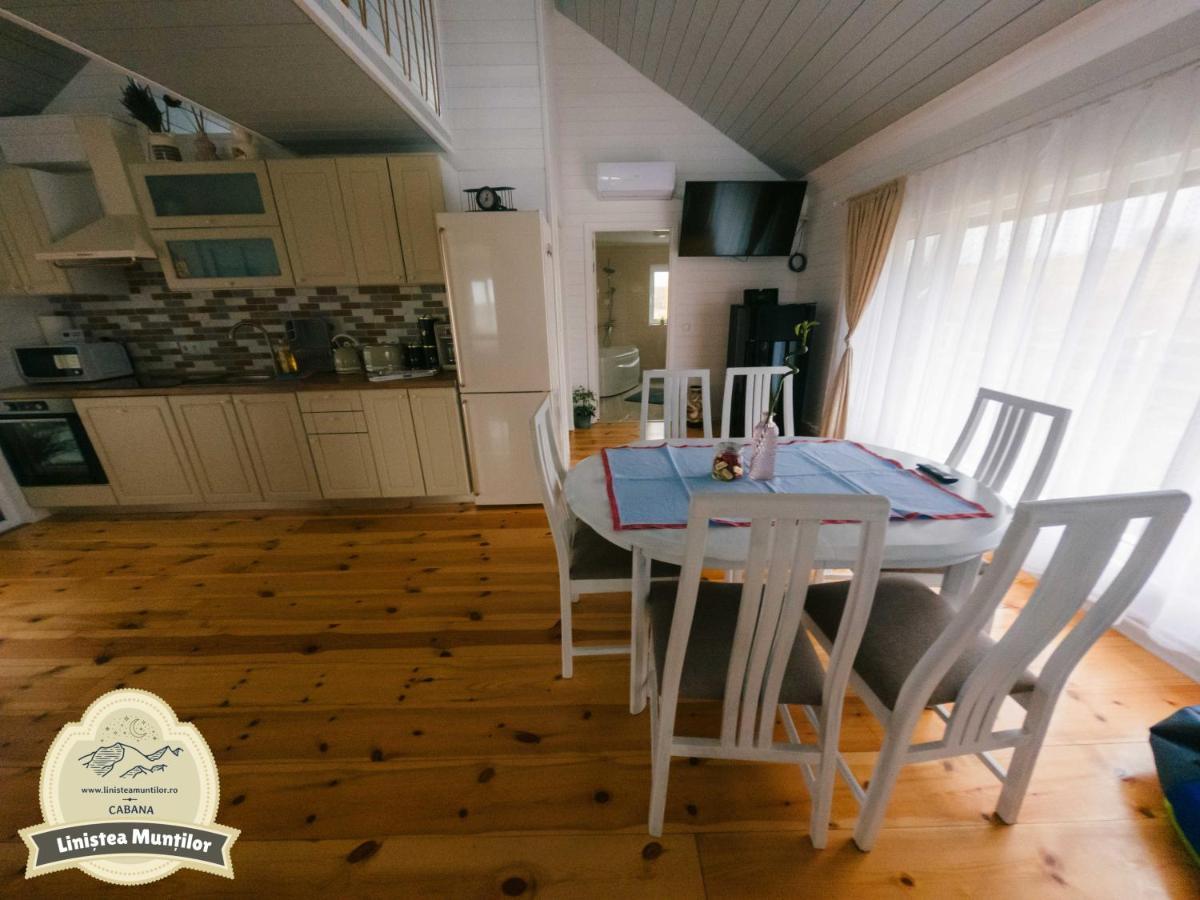 Linistea Muntilor Chalet Porumbacu de Sus Luaran gambar