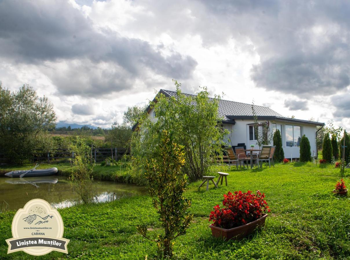 Linistea Muntilor Chalet Porumbacu de Sus Luaran gambar