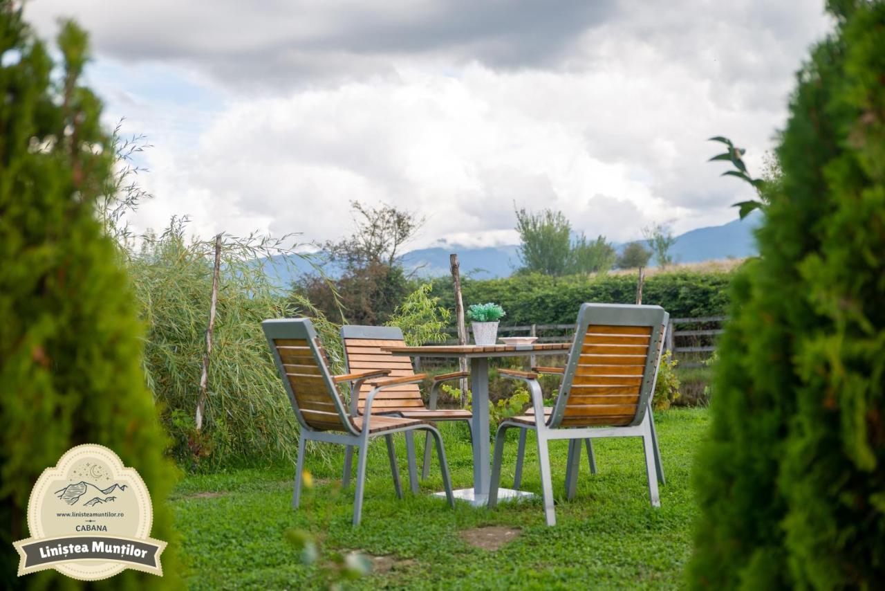 Linistea Muntilor Chalet Porumbacu de Sus Luaran gambar