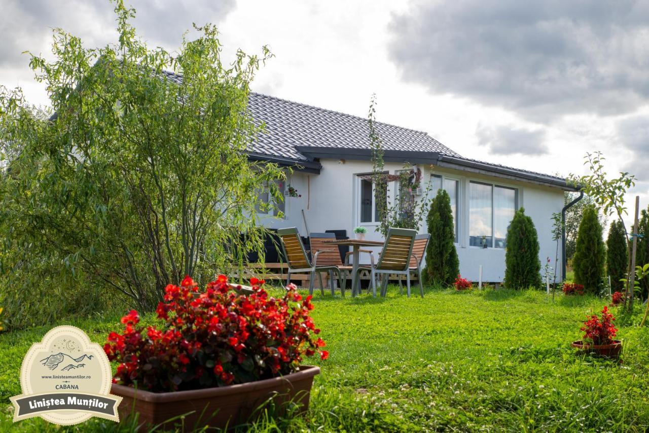 Linistea Muntilor Chalet Porumbacu de Sus Luaran gambar