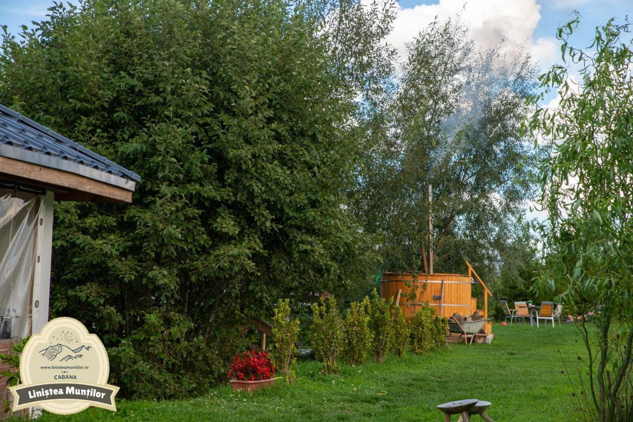 Linistea Muntilor Chalet Porumbacu de Sus Luaran gambar